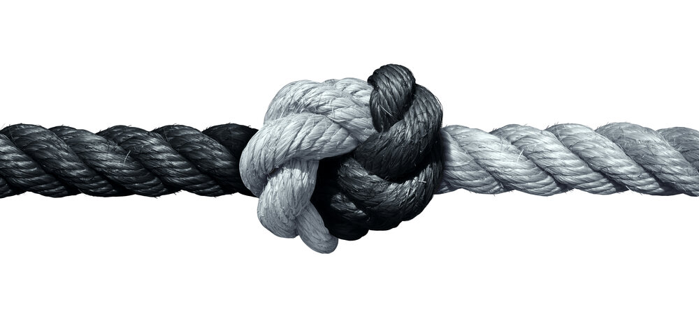 UNIDAD EN LA DIFERENCIA