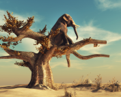 CUANDO LO IMPOSIBLE ES POSIBLE